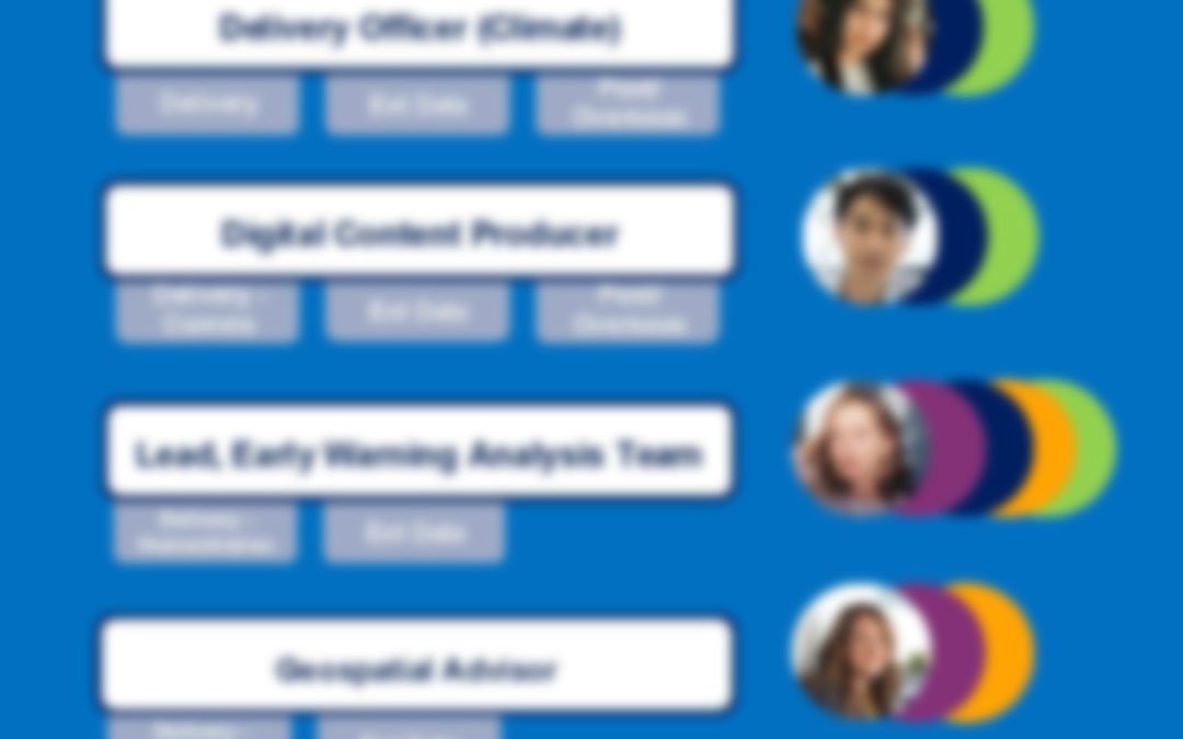 Data Maturity Assessment – User Research